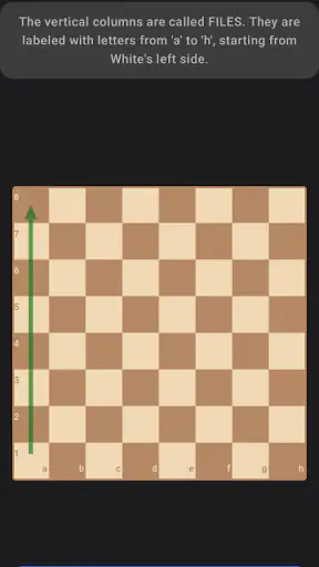 Schach lernen: Schach spielen screenshot 4