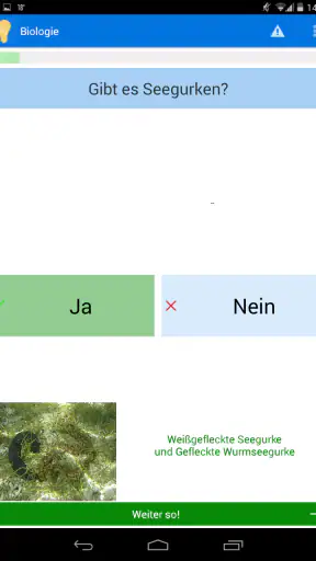 Schlaukopf screenshot 12