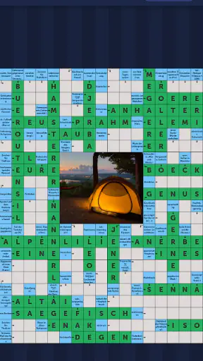 Schwedenrätsel: Wortsuche screenshot 3