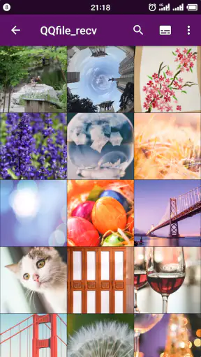 Smart Gallery Pro - Quick Pic screenshot 3