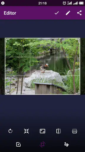 Smart Gallery Pro - Quick Pic screenshot 5