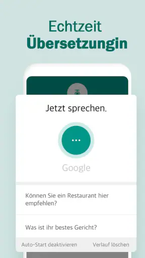 Sprechender Übersetzer screenshot 9
