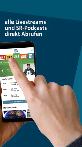 SR info screenshot 5