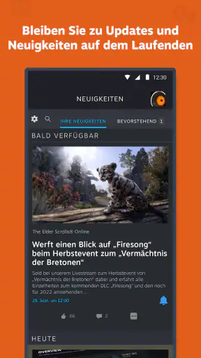 Steam screenshot
