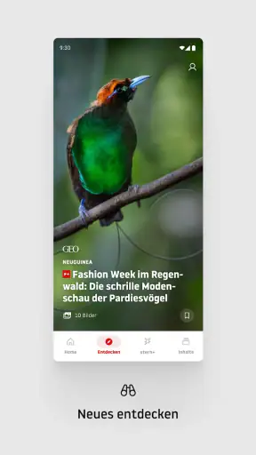 stern online: Nachrichten App screenshot 7