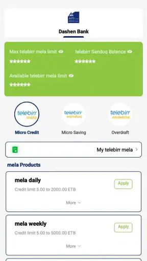 telebirr screenshot 8
