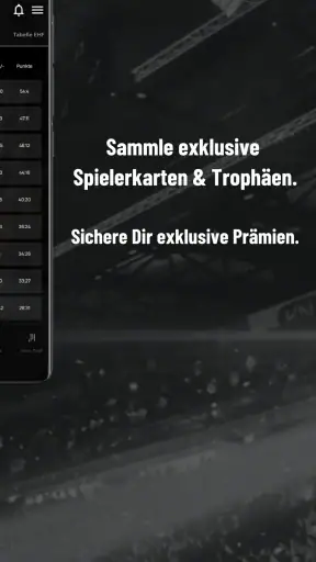 THW Kiel Handball screenshot 9