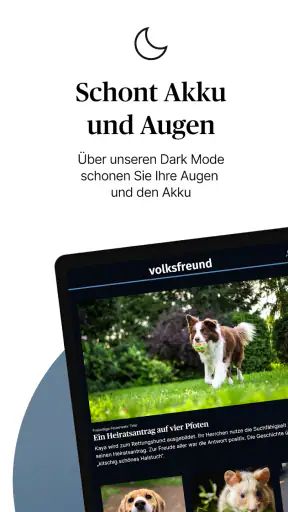 Trierischer Volksfreund screenshot 11