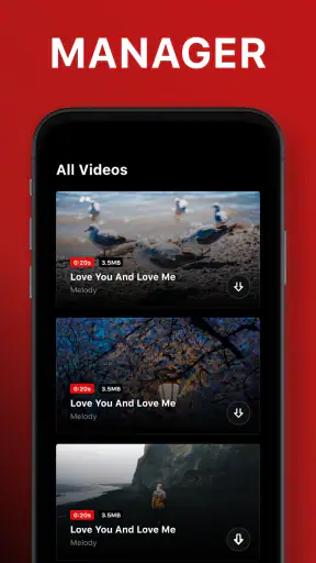 Video Downloader screenshot