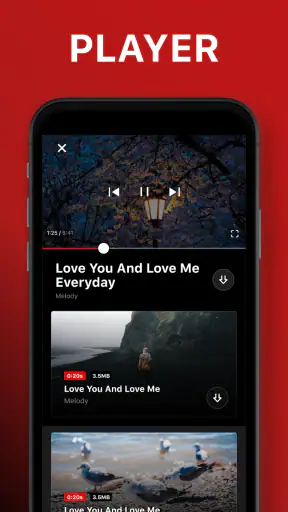 Video Downloader screenshot