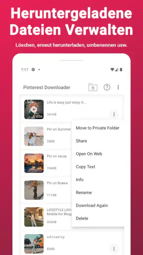 Video-Downloader für Pinterest screenshot 4