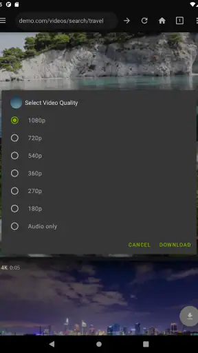 Video Downloader Pro screenshot 10