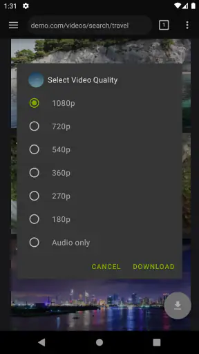 Video Downloader Pro screenshot 3