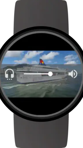 Video Gallery for Wear OS screenshot 2