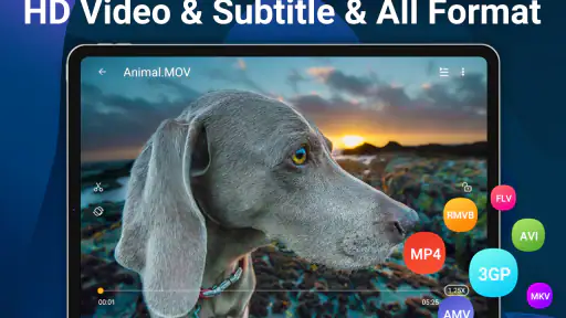 Videoplayer Alle Formate screenshot 12