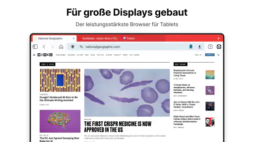 Vivaldi Browser–Schnell&Sicher screenshot 10