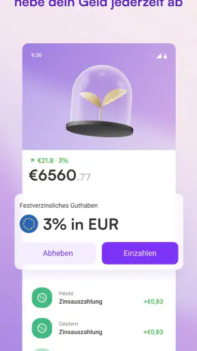 Vivid Business und Personal screenshot 3