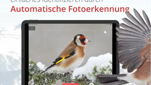 Vogelführer Birdlife Schweiz screenshot 11