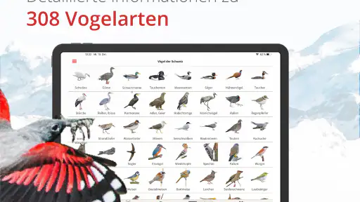 Vogelführer Birdlife Schweiz screenshot 12