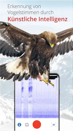 Vogelführer Birdlife Schweiz screenshot 2