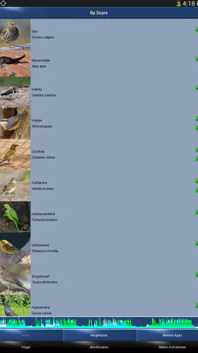 Vogelstimmen Id - Ruf + Gesang screenshot 11