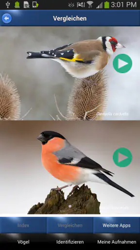 Vogelstimmen Id - Ruf + Gesang screenshot 4