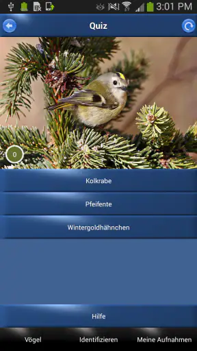 Vogelstimmen Id - Ruf + Gesang screenshot 5