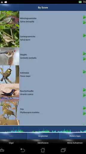 Vogelstimmen Id - Ruf + Gesang screenshot 6