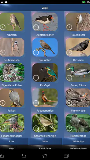 Vogelstimmen Id - Ruf + Gesang screenshot 8