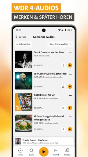 WDR 4 screenshot 7