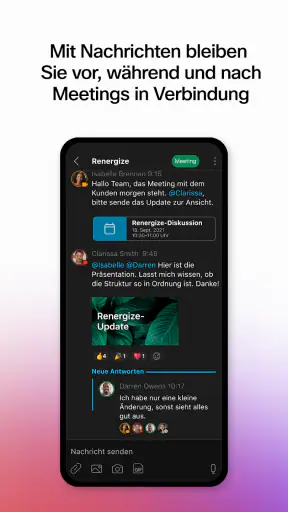 Webex screenshot 4