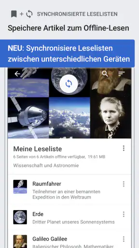 Wikipedia screenshot 4