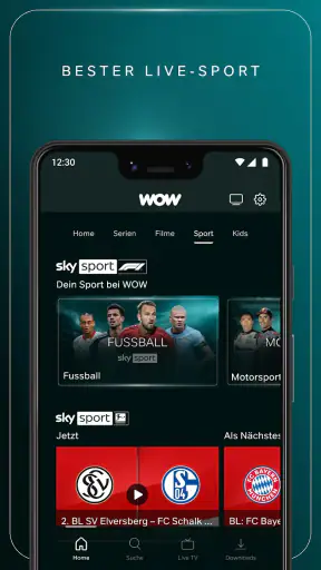 WOW screenshot 5