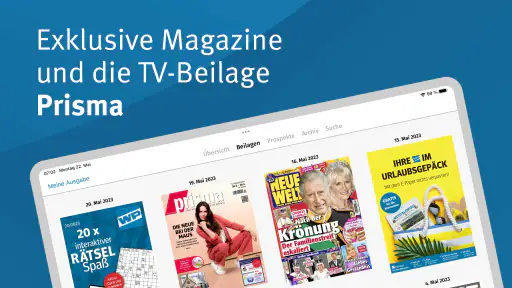 WP E-Paper screenshot 12