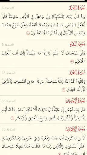 القرآن الكريم كامل بدون انترنت screenshot 7