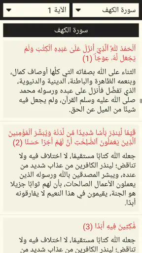 القرآن الكريم مع تفسير ومعاني  screenshot 6