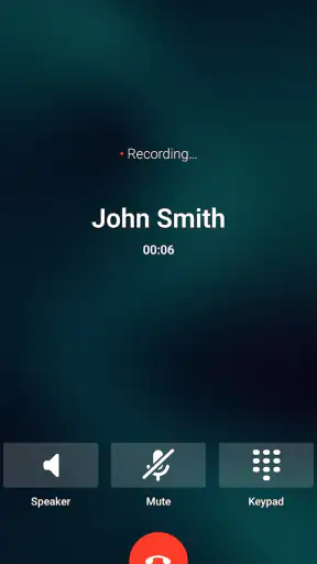 10-21 Police Phone screenshot 2