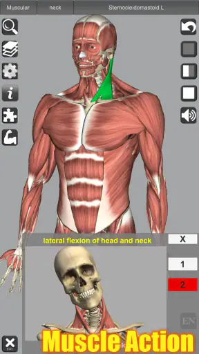 3D Anatomy screenshot 1