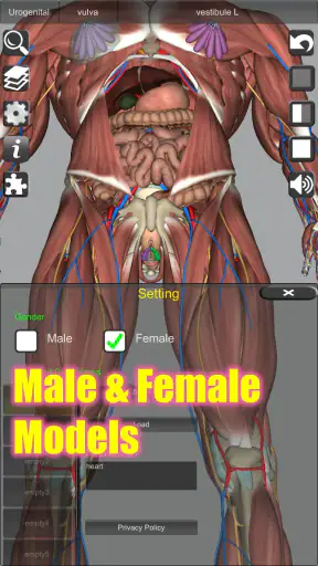 3D Anatomy screenshot 11