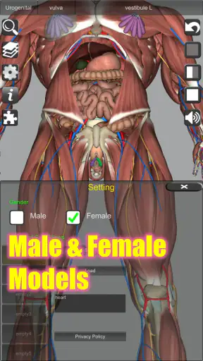 3D Anatomy screenshot 6