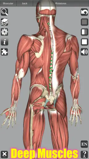 3D Anatomy screenshot 7