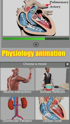 3D Anatomy screenshot 8