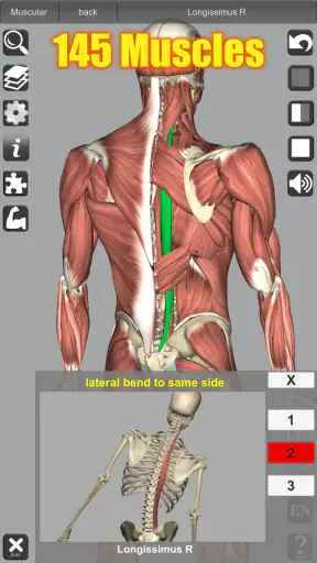 3D Anatomy screenshot 9