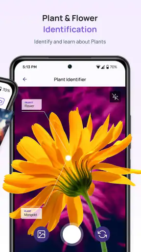 6Sense screenshot 11