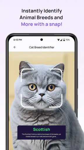 6Sense screenshot 9