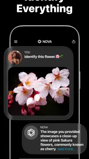 AI Chatbot - Nova screenshot