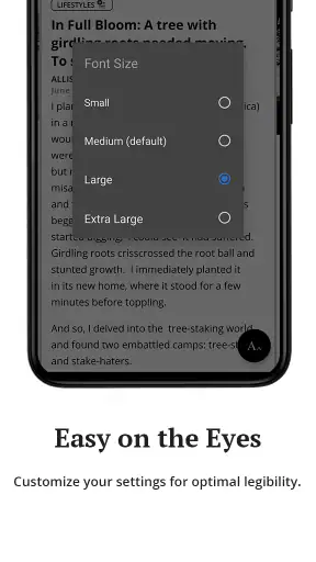 Allentown - Morning Call screenshot 4
