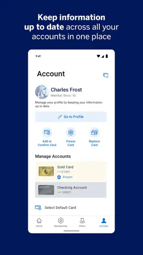 Amex screenshot 2