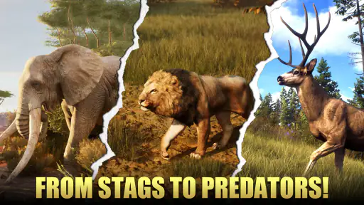 Animal Hunter : Wild Sniper screenshot 10