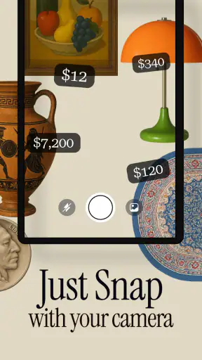 Antique Identifier Zophi screenshot 8